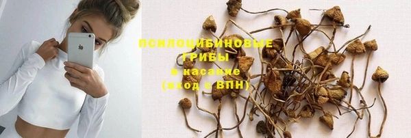 сатива Медвежьегорск