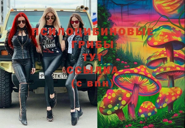 молекула духа Мегион