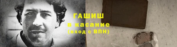 молекула духа Мегион