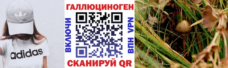 Псилоцибиновые грибы Psilocybine cubensis  площадка телеграм  Курск  ОМГ ОМГ ТОР 
