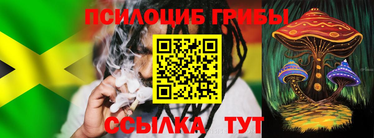 Псилоцибиновые грибы прущие грибы  Вход с VPN  Псилоцибиновые грибы Psilocybe  Курск 